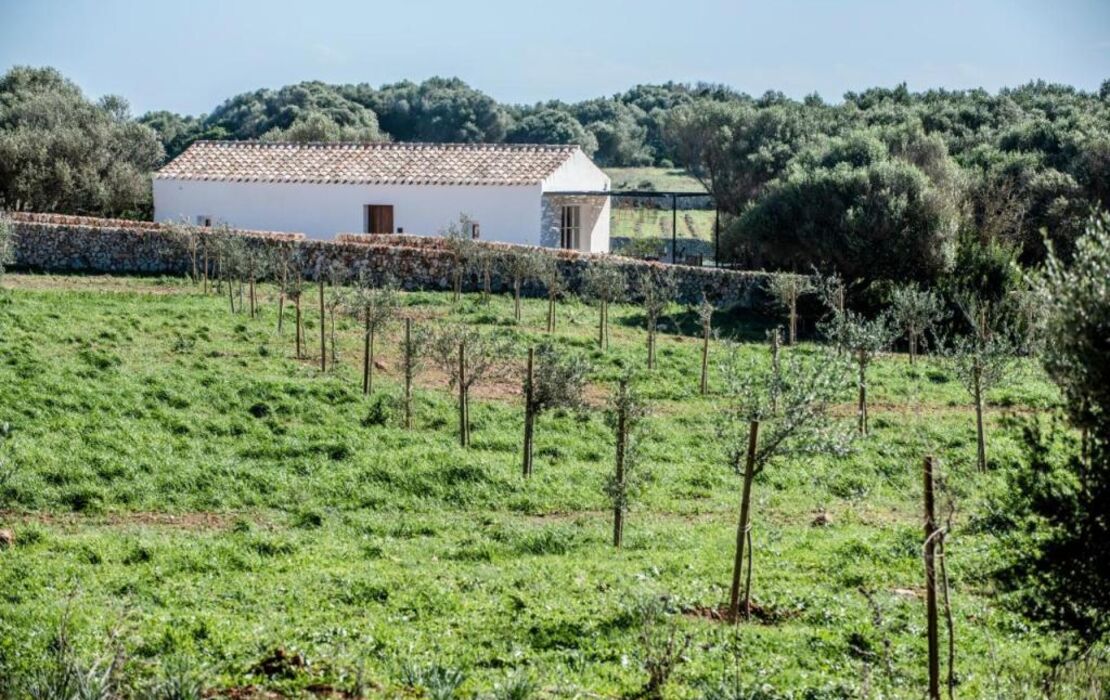 Torre Vella - Fontenille Collection