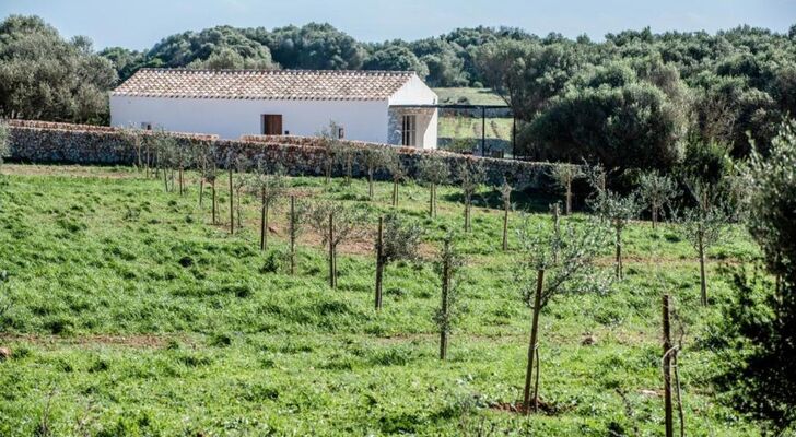 Torre Vella - Fontenille Collection