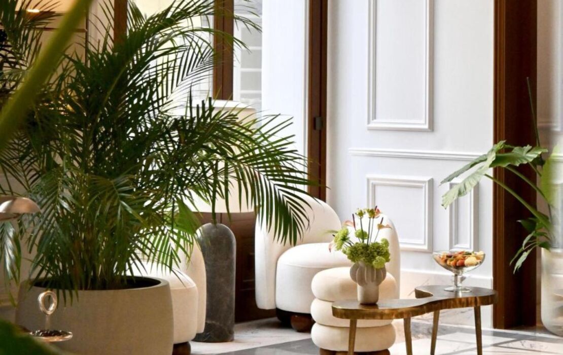 The Dolli at Acropolis, A Hotel to Live