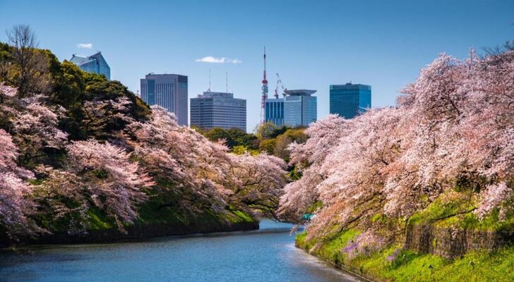 Four Seasons Hotel Tokyo at Marunouchi