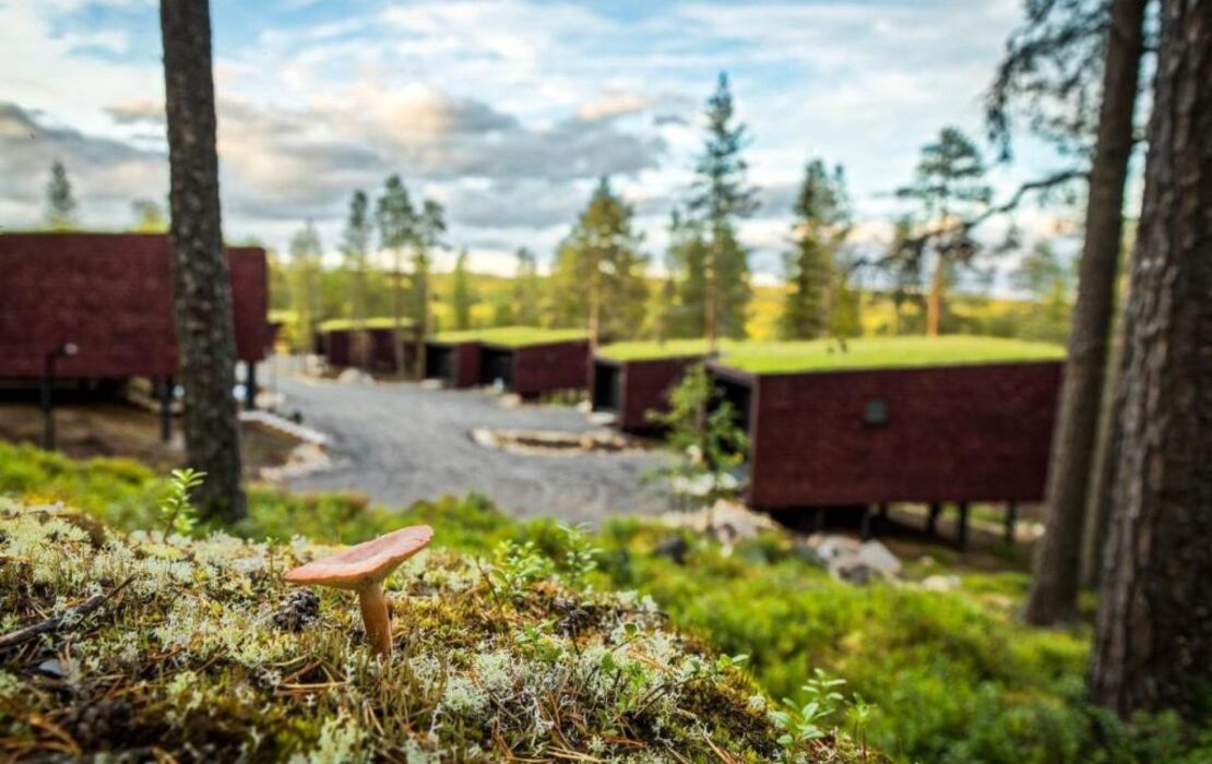 Arctic TreeHouse Hotel