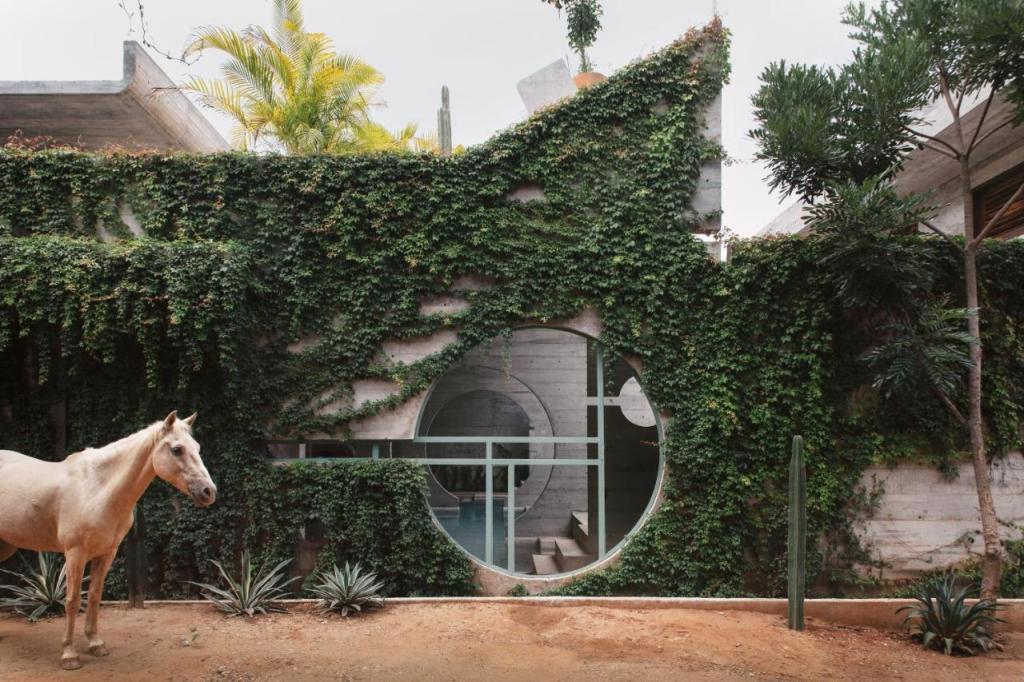 Casa TO - Adults Only