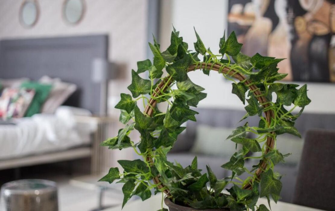 Apartamentos Soho Boutique Museo