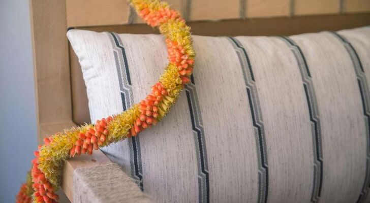 The Surfjack Hotel & Swim Club