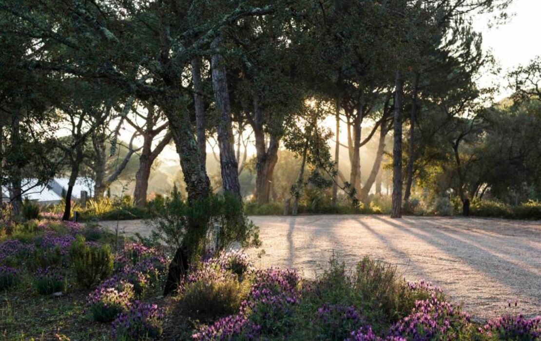 Sublime Comporta Country Retreat & SPA