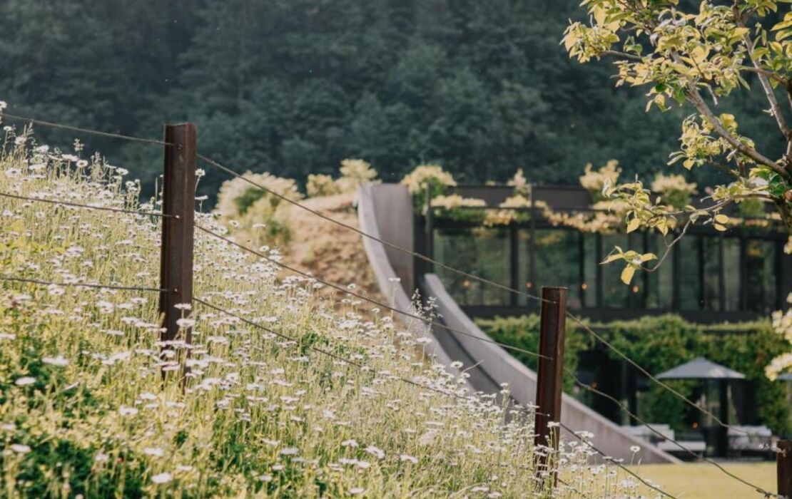 Apfelhotel Torgglerhof