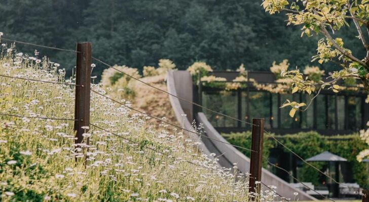 Apfelhotel Torgglerhof
