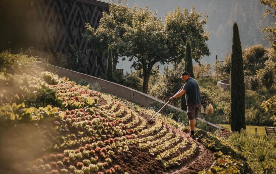 Apfelhotel Torgglerhof