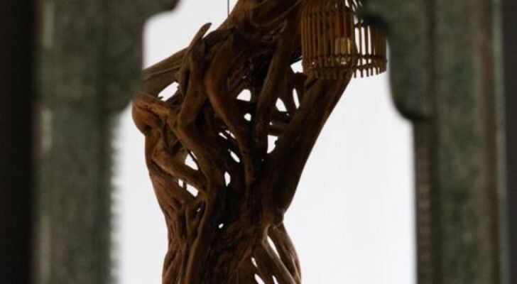 Villa Aikia (Adults Suites A/C)