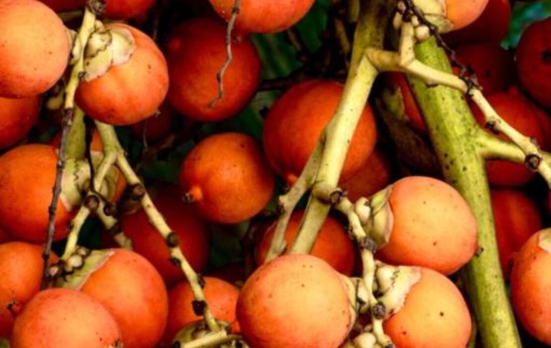 Villa Aikia (Adults Suites A/C)