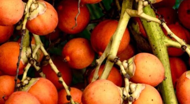 Villa Aikia (Adults Suites A/C)