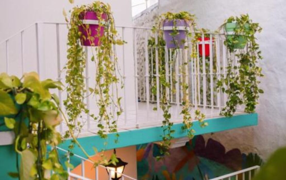 Casa Maria Hotel Boutique & Gallery Adults Only