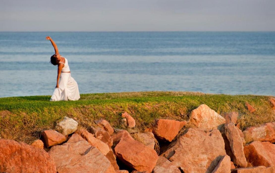 Meliá Puerto Vallarta – All Inclusive