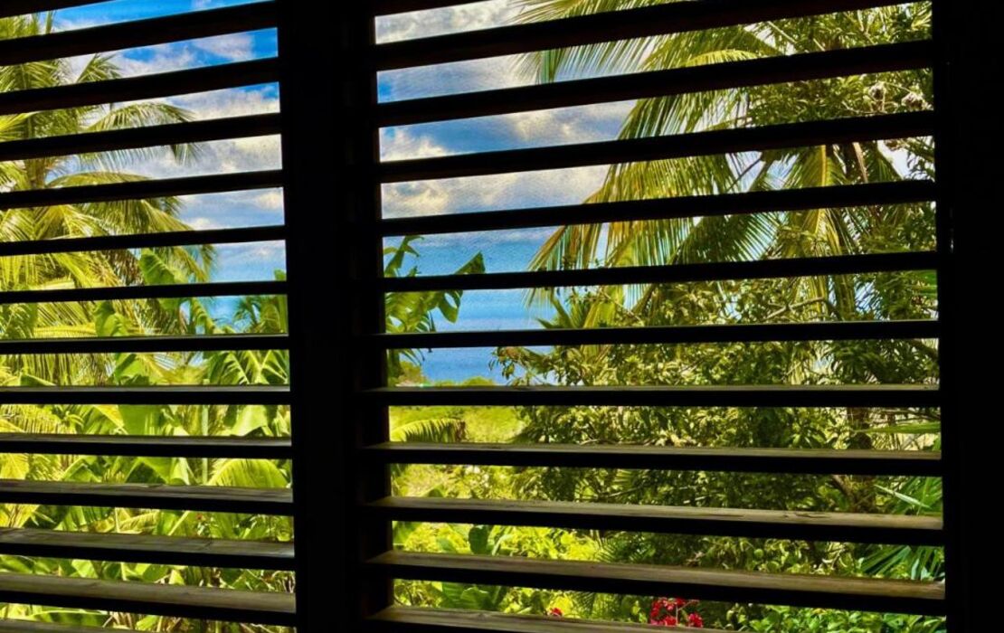 Habitation Caféière Samana Beauséjour - GUESTHOUSE