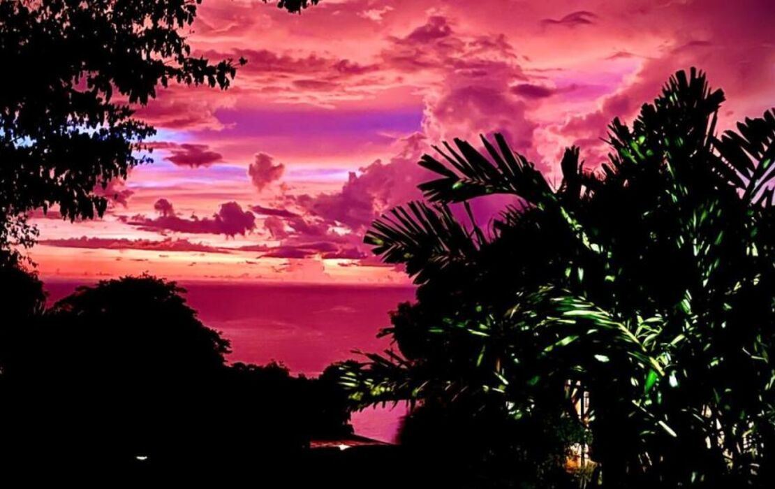 Habitation Caféière Samana Beauséjour - GUESTHOUSE