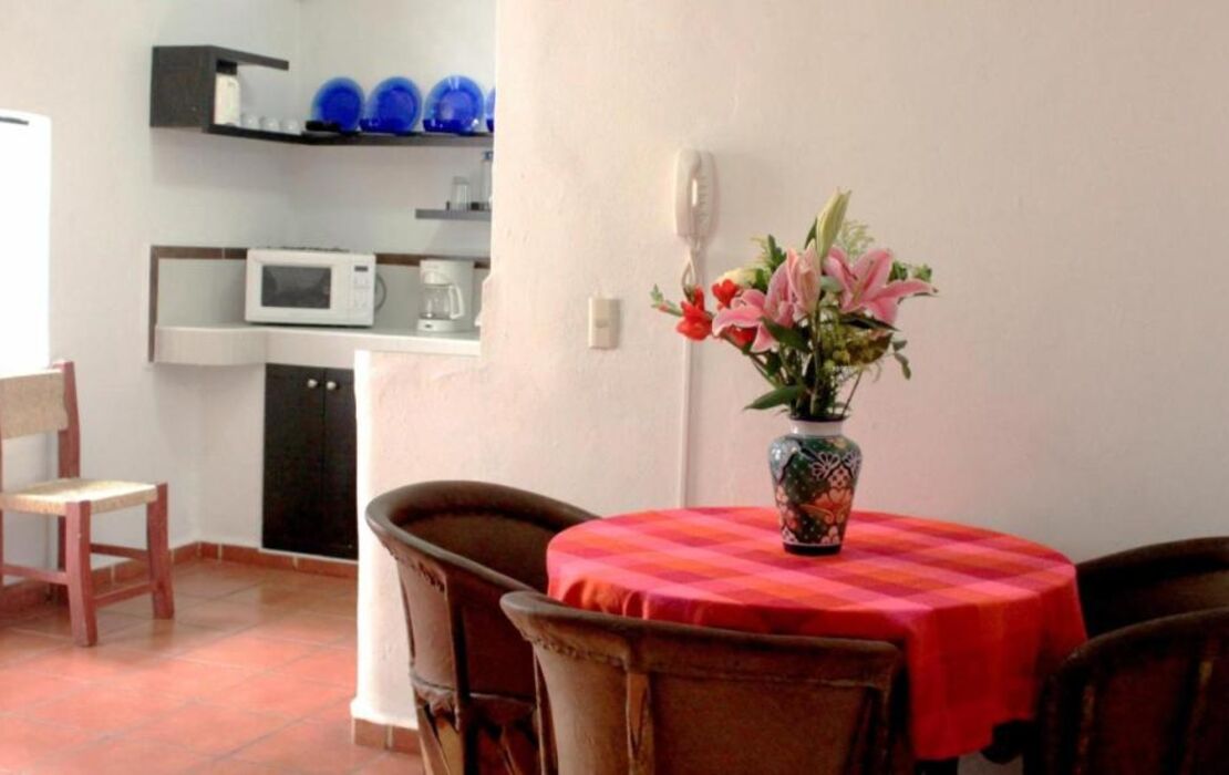 La Iguana Vallarta LGBT ADULTS ONLY - Romantic Zone - Party Clubbing Street