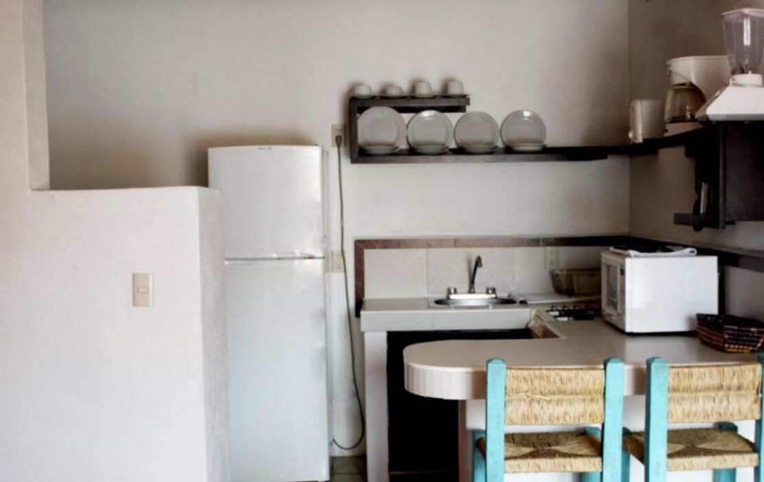 La Iguana Vallarta LGBT ADULTS ONLY - Romantic Zone - Party Clubbing Street