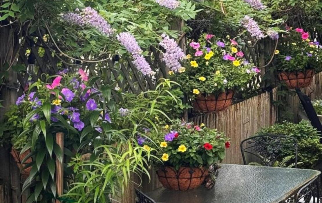 The Gaslamp Bed and Breakfast