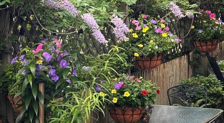 The Gaslamp Bed and Breakfast