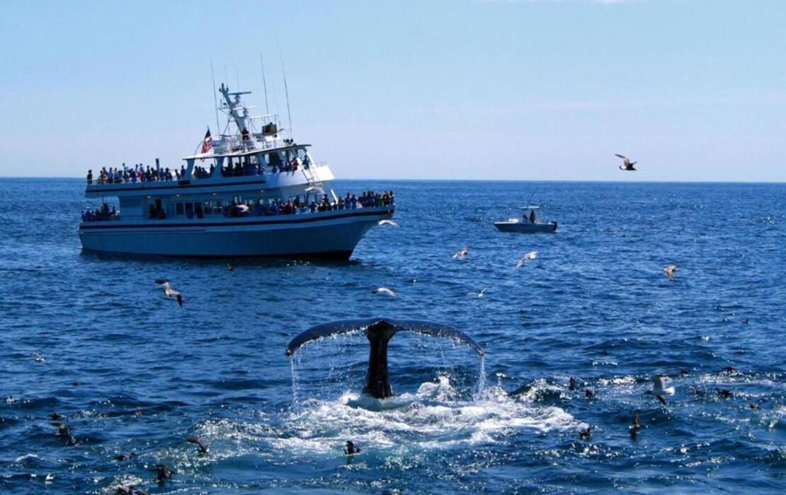 Brass Key Guesthouse Adults Only