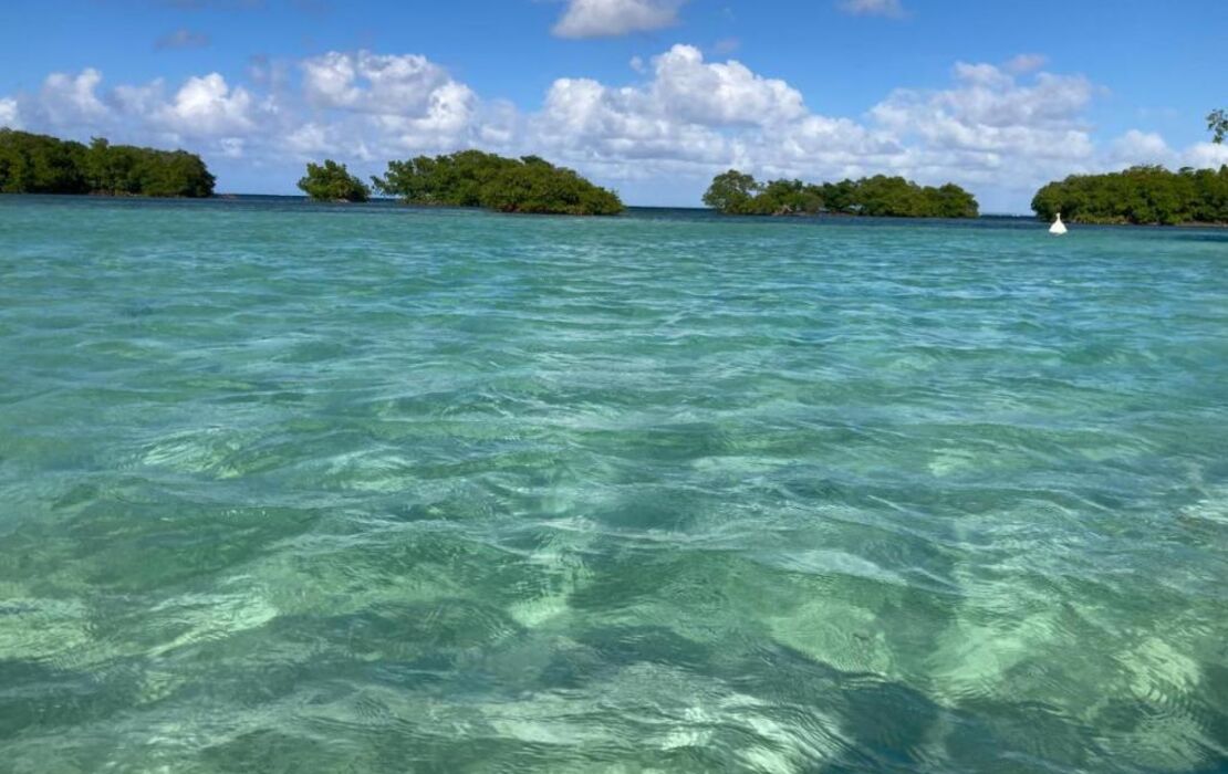 Habitation Saint Charles - Hôtel de Charme & Spa