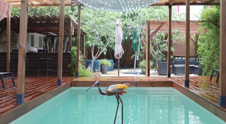 Les 2 Drôles d'Oiseaux