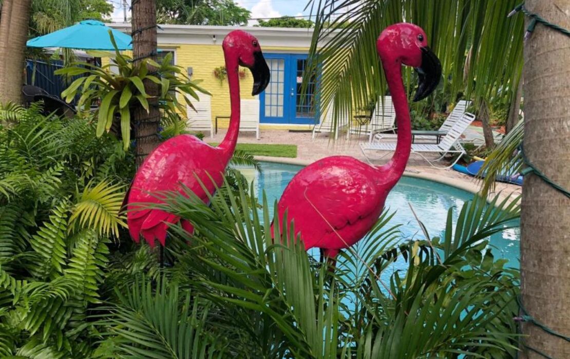 Calypso Inn Wilton Gay Male Resort