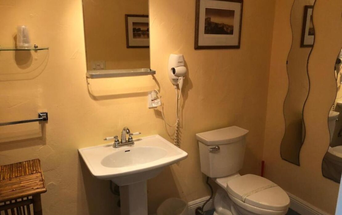 Calypso Inn Wilton Gay Male Resort