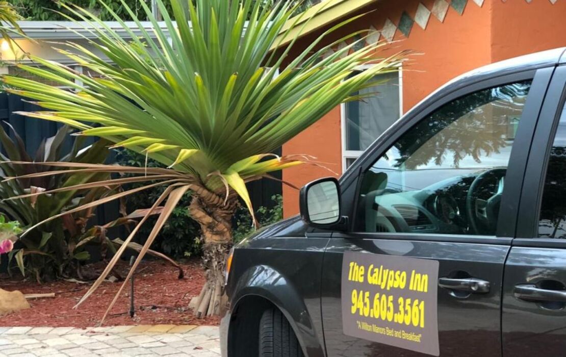 Calypso Inn Wilton Gay Male Resort