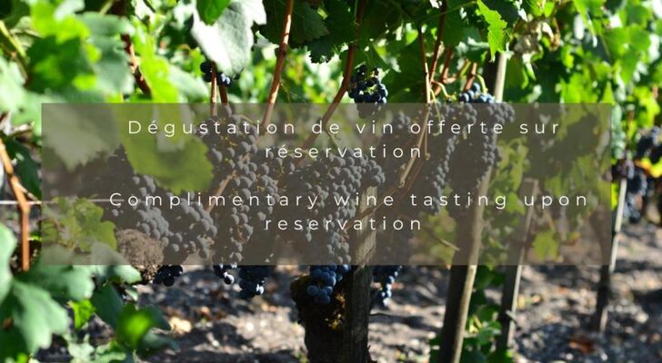 Château Léognan, Domaine viticole - proche Bordeaux